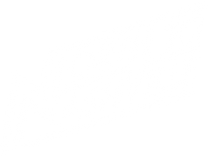 North to Nashville